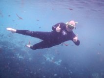 manatee tour florida keys