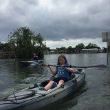 manatee tours in crystal river