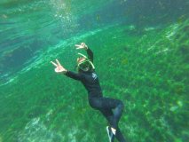 manatee tour florida keys